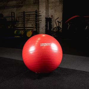 Купить Гимнастический мяч Yousteel Hard 55см в Сухиничах 